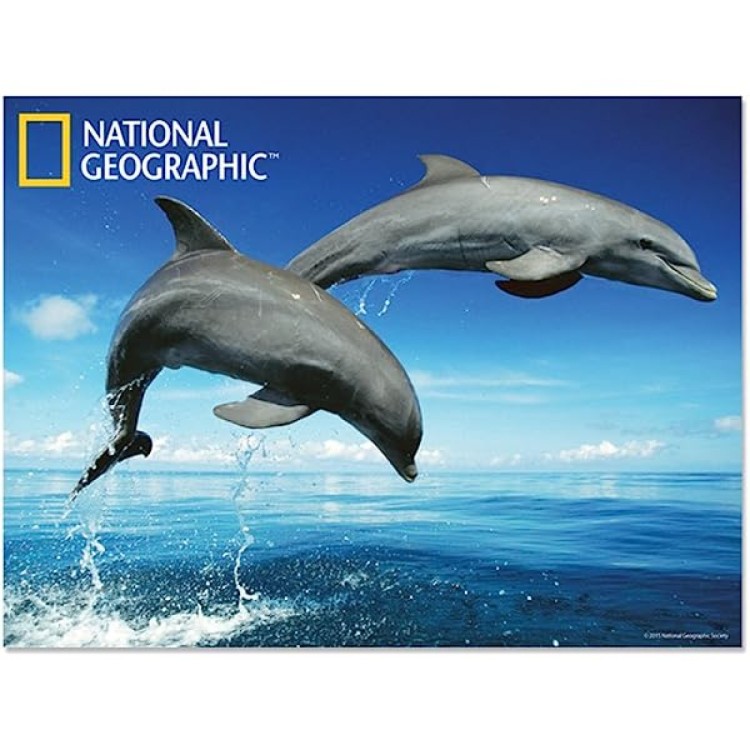 Kidicraft Holographic Lenticular Postcard Dolphin