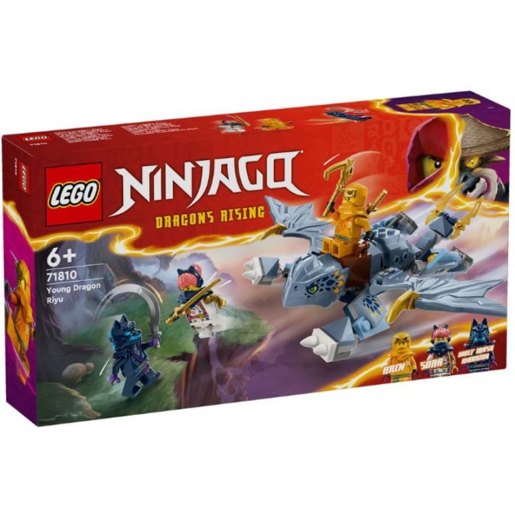 Lego 71810 Ninjago Young Dragon Riyu 