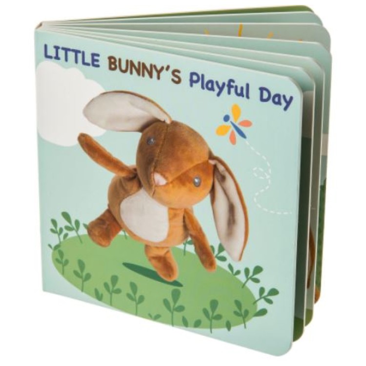 Little Bunny's Playful Day Book