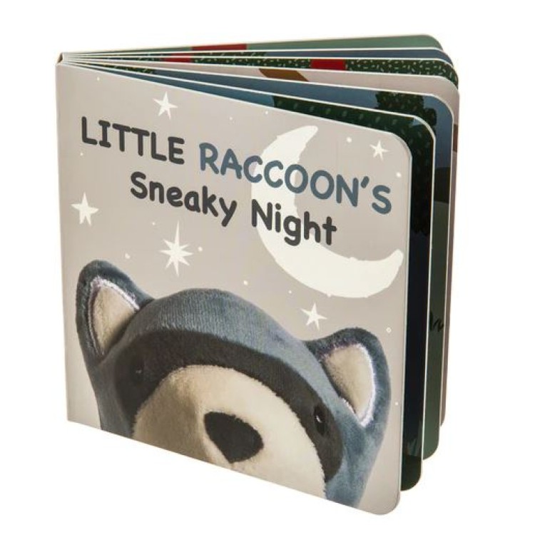 DN Mary Meyer Little Raccoon's Sneaky Night Book