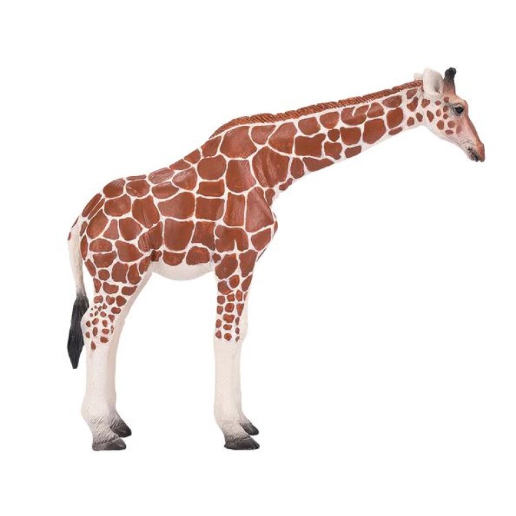 Mojo 381033 Giraffe Female