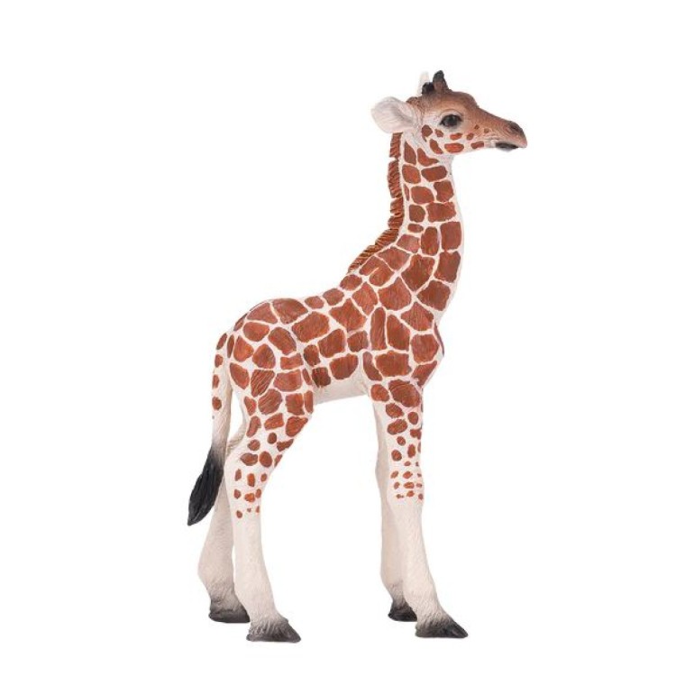 Mojo 381034 Giraffe Calf 