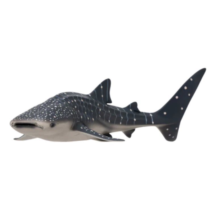 Mojo 381038 Whale Shark