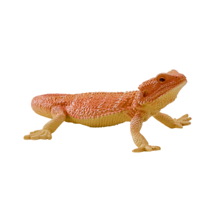 Mojo 381096 Bearded Dragon