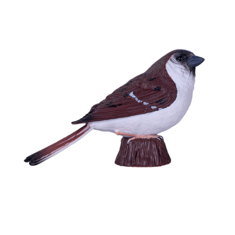Mojo 381114 House Sparrow