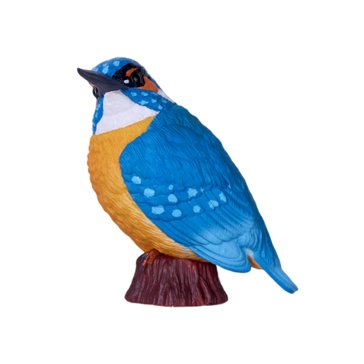 Mojo 381116 Kingfisher