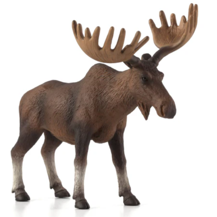 Mojo 387023 European Elk/ Moose