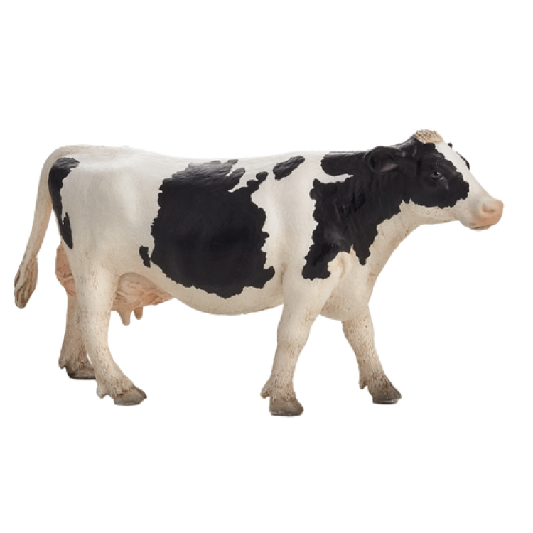 Mojo 387062 Holstein Cow