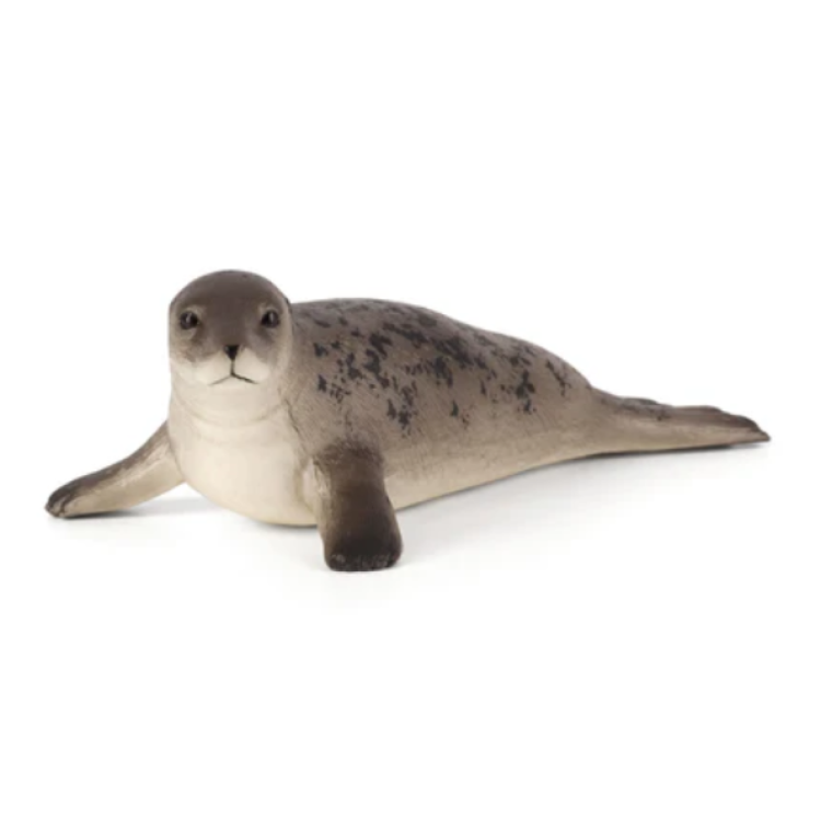 Mojo 387091 Grey Seal