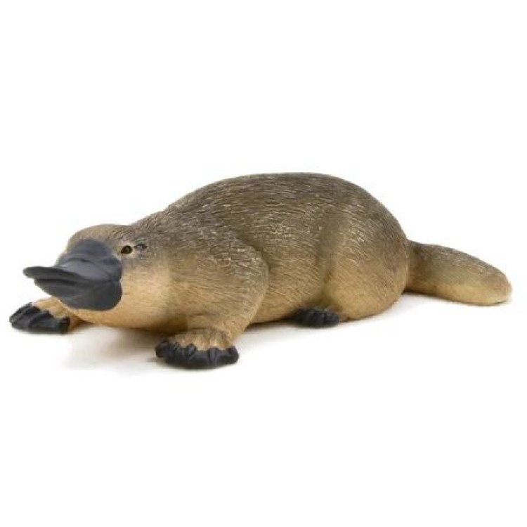 Mojo 387106 Duck Billed Platypus