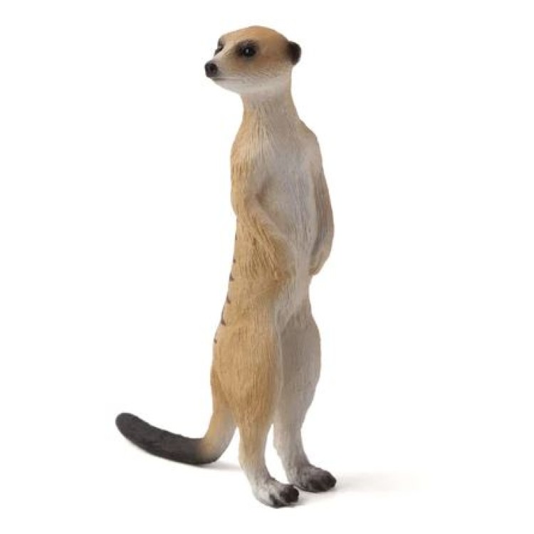 Mojo 387125 Meerkat