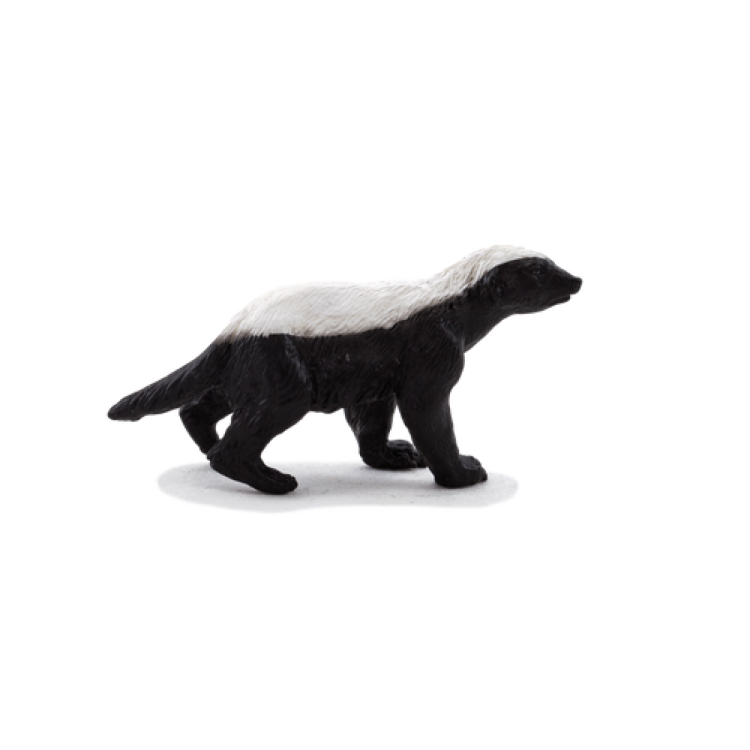 Mojo 387181 Honey Badger Male