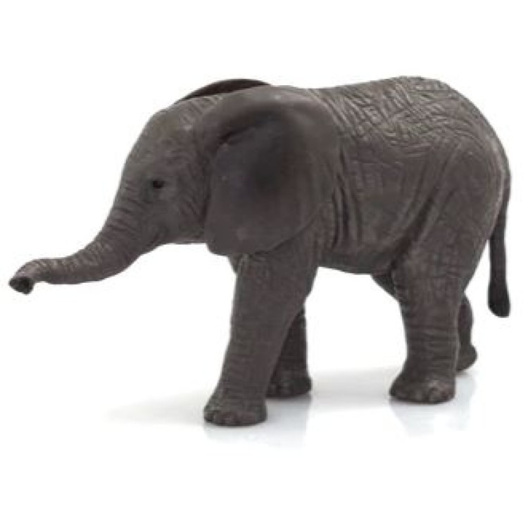 Mojo 387190 African Elephant Calf