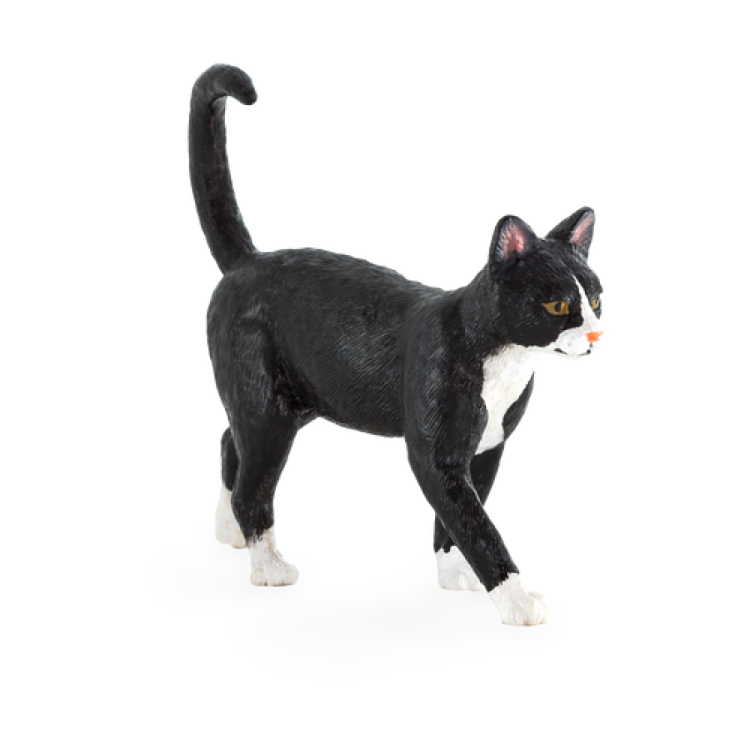 Mojo 387200 Cat