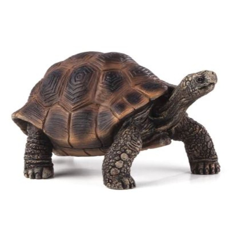 Mojo 387259 Giant Tortoise