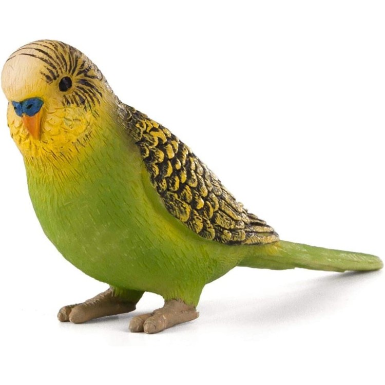 Mojo 387262 Budgerigar (Green) 
