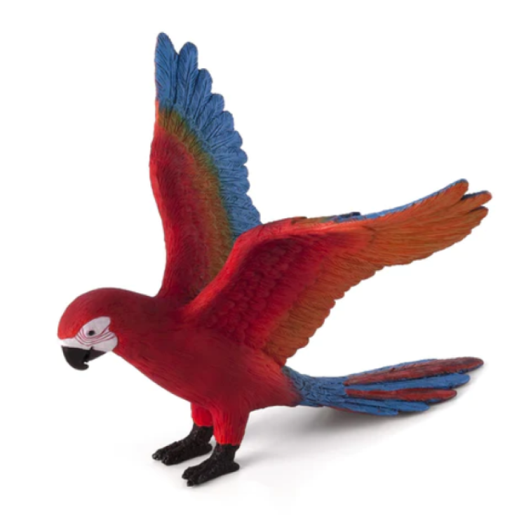 Mojo 387263 Parrot 
