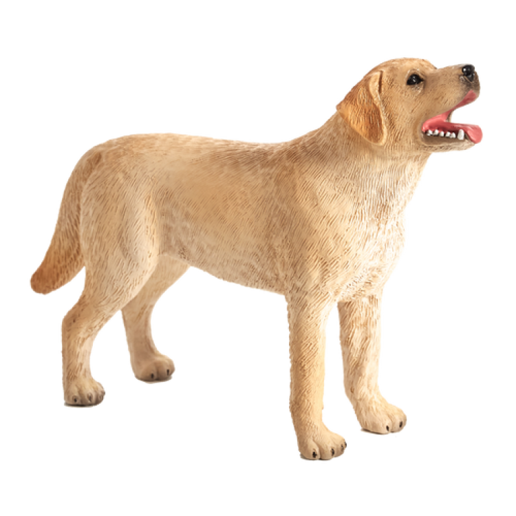 Mojo 387271 Labrador
