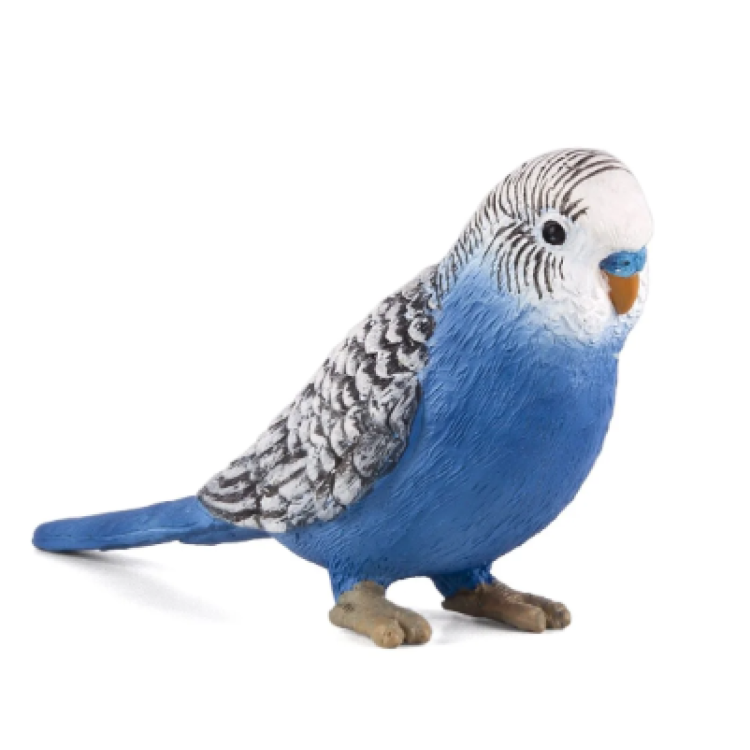 Mojo 387292 Budgerigar (Blue)