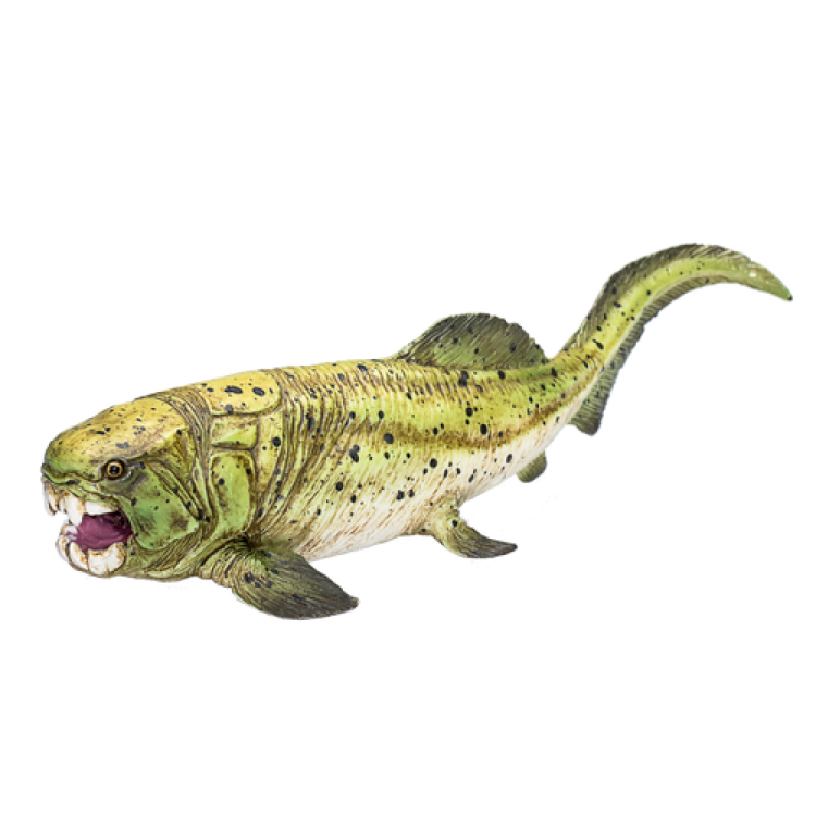 Mojo 387374 Dunkleosteus