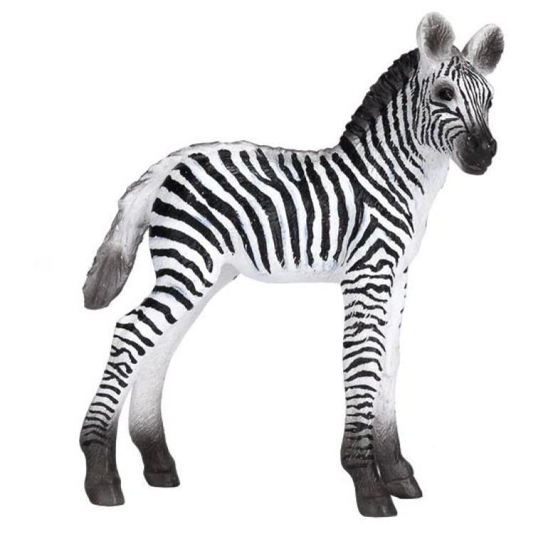 Mojo 387394 Zebra Foal