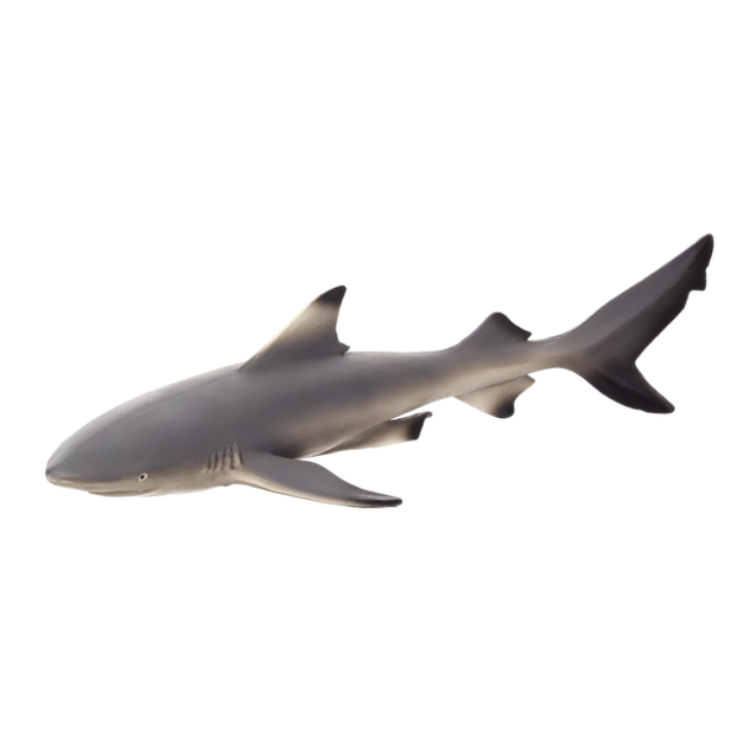 Mojo 387357 Black Reef Tip Shark 