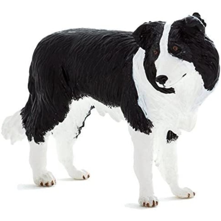 Mojo Border Collie 387203