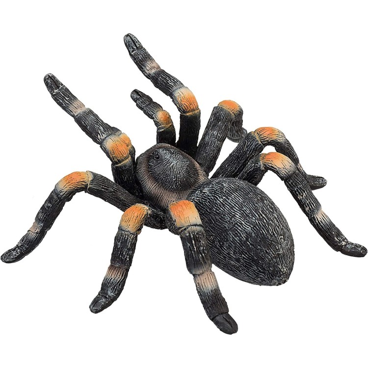 Mojo Red Kneed Tarantula 387213