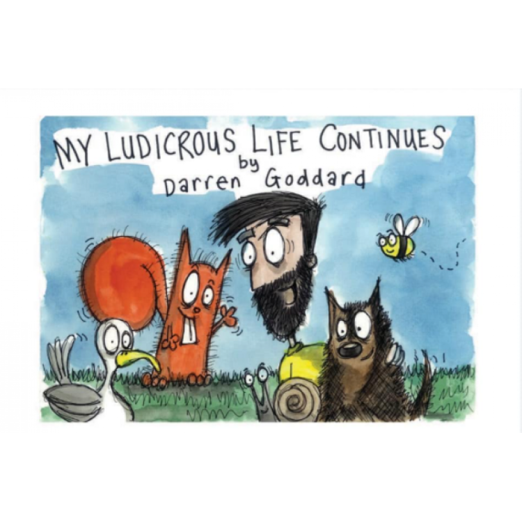 My Ludicrous Life Continues BOOK 2 (paperback) by Darren Goddard