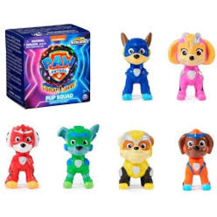 SPM Paw Patrol Pup Squad Surprise Figures