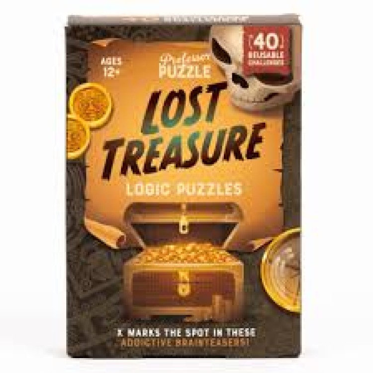 Professor Puzzle Lost Treasure Logic Puzzles 40 Reusable Challengers