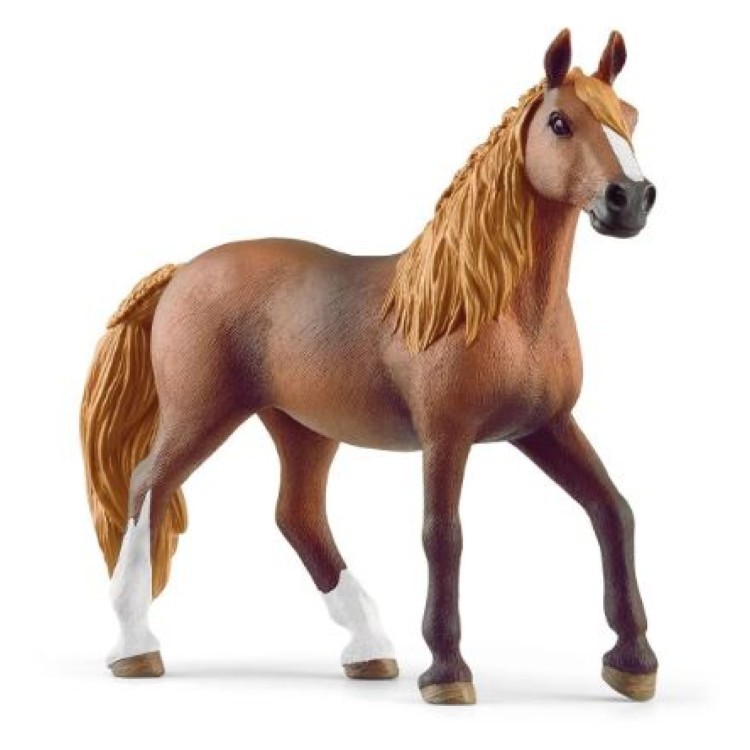 Schleich 13953 Paso Peruano Mare