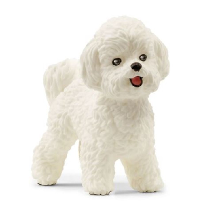 Schleich 13963 Bichon Frise