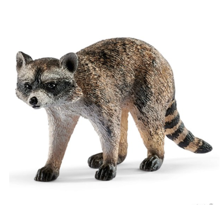 Schleich 14828 Raccoon 