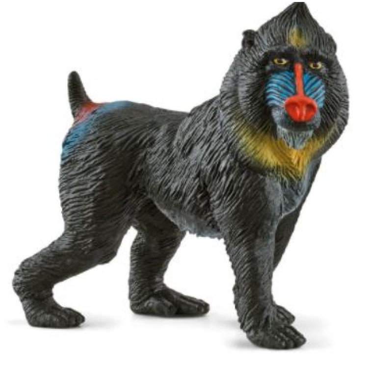 Schleich 14856 Mandrill 