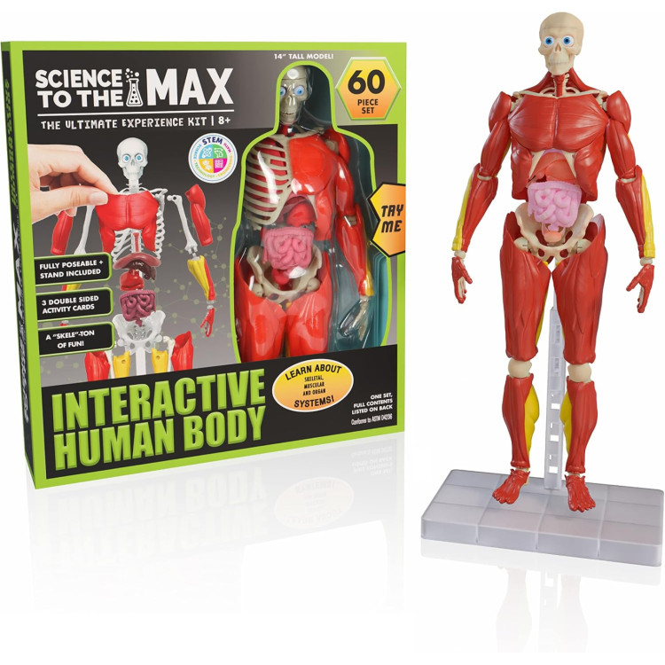 Science to the Max - Interactive Human Body 2331-6965