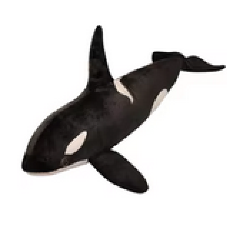Whale teddy online