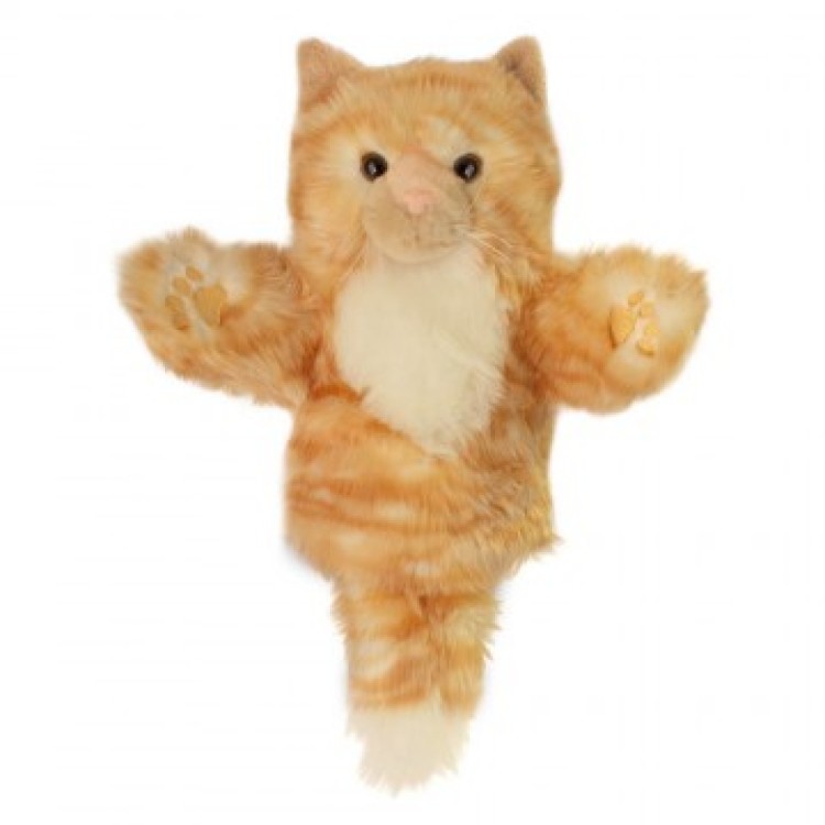 The Puppet Company CarPet Glove Puppet - Cat (Ginger) PC008013