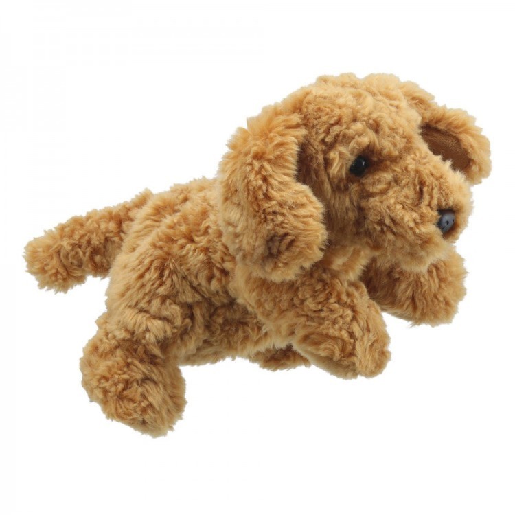 The Puppet Company Full Bodied Puppet - Cockapoo PC001832