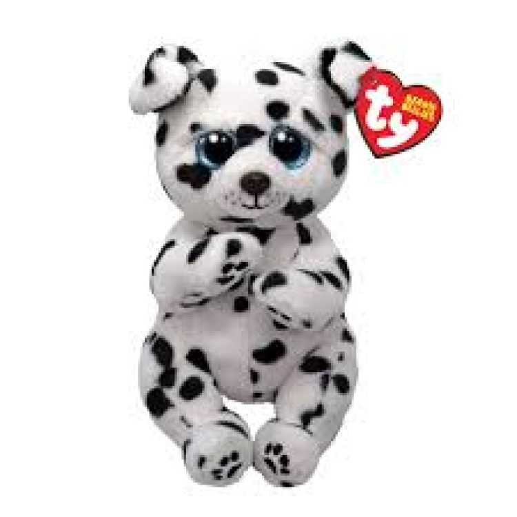 TY Beanie Bellies - 41502 Rowdy The Dalmation 