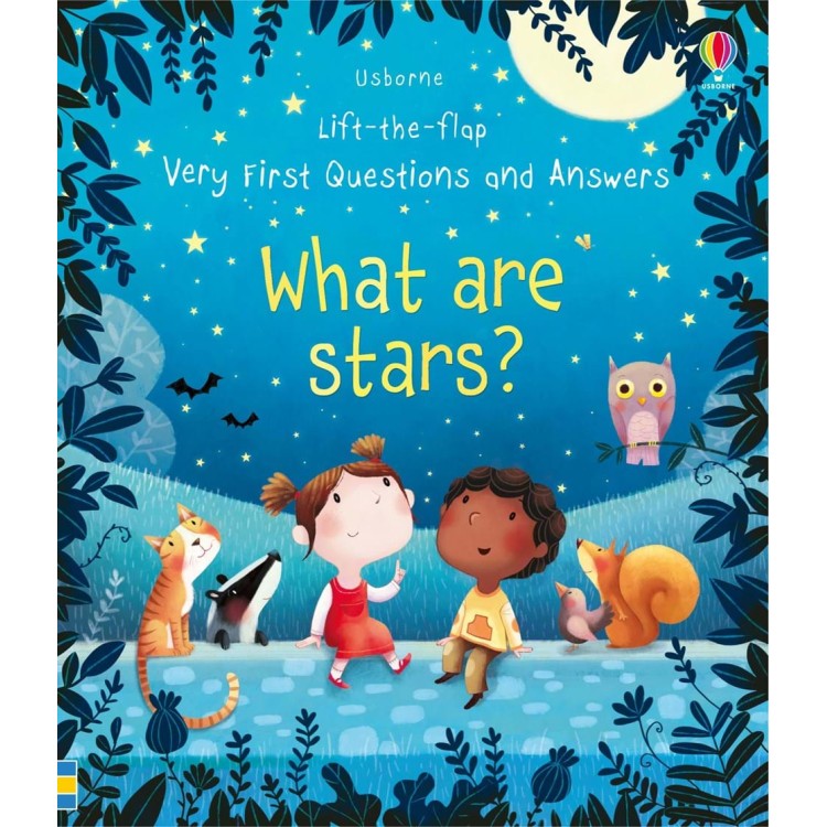 Usborne Lift The Flap Very First Questions and Answers What Are Stars?
