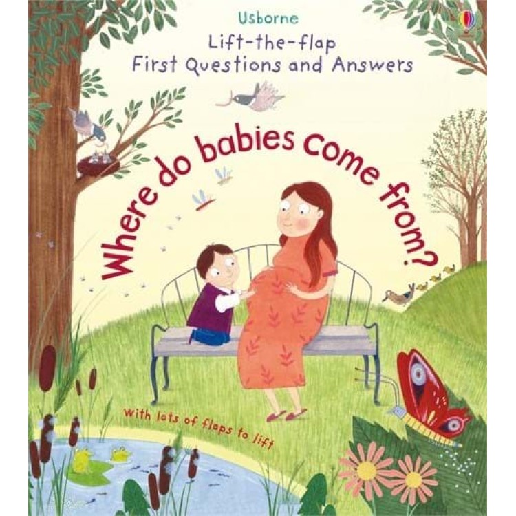 Usborne Lift The Flap First Questions and Answers Where Do Babies Come From?