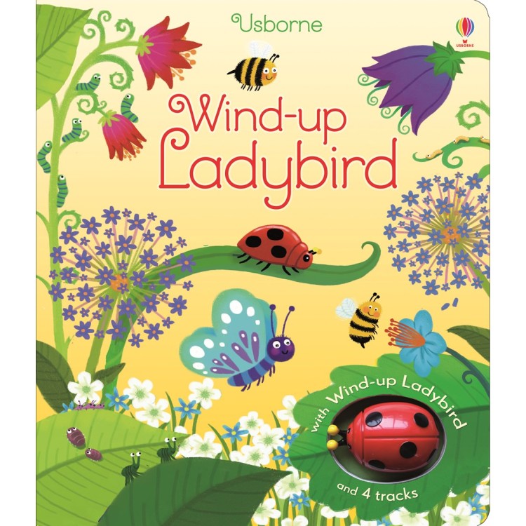 Usborne Wind Up Ladybird Book