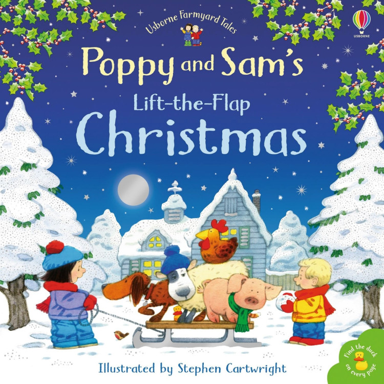Usborne Books Poppy and Sam's Lift The Flap Christmas