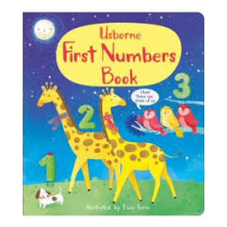 Usborne First Numbers Book
