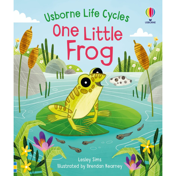 Usborne Life Cycles - One Little Frog