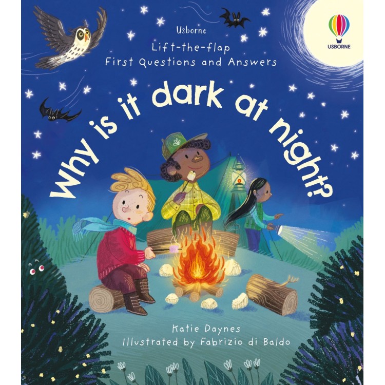 Usborne Lift the Flap First Questions And Answers Why Is It Dark At Night?