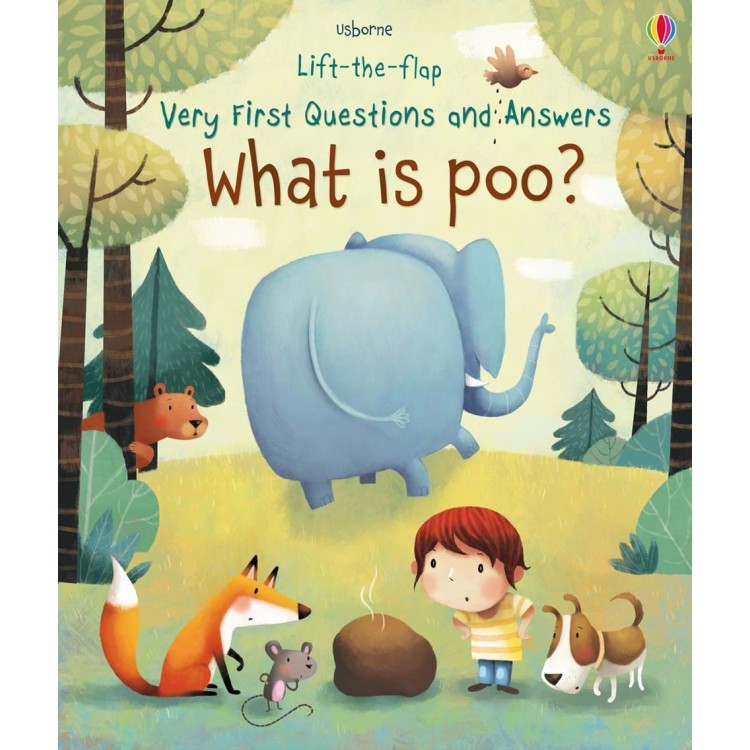 Usborne Lift The Flap Very First Questions And Answers What is Poo?