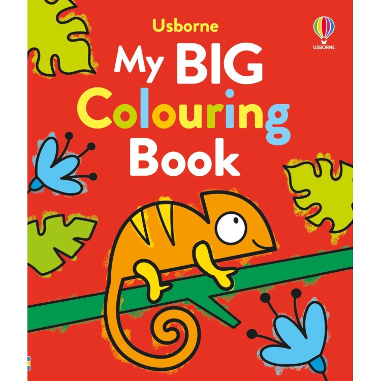 Usborne My Big Colouring Book 