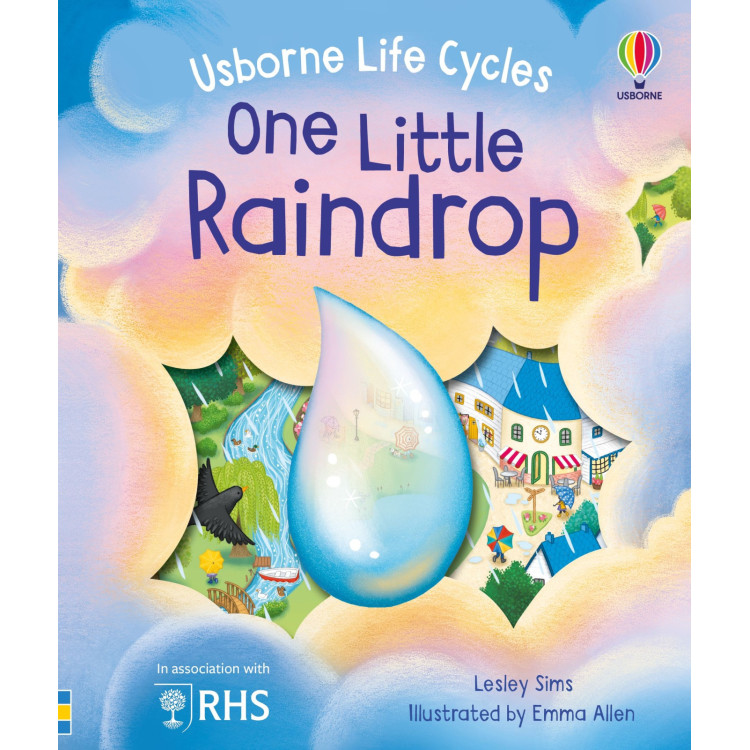 Usborne Life Cycles One Little  Raindrop